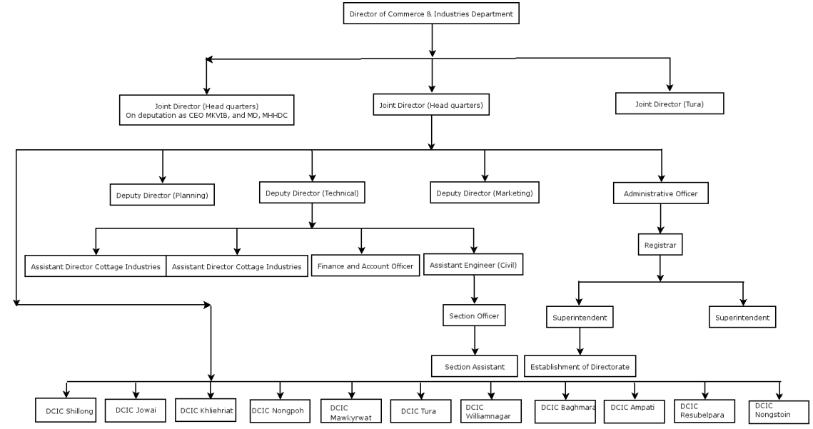 Organisational Structure at the Directorate Level