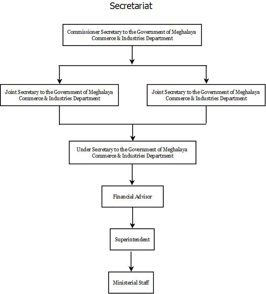 Organisational Structure of the Department at Secretariat Level